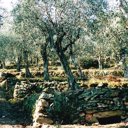 Agriturismo E And E - With Private Pool Vicopisano